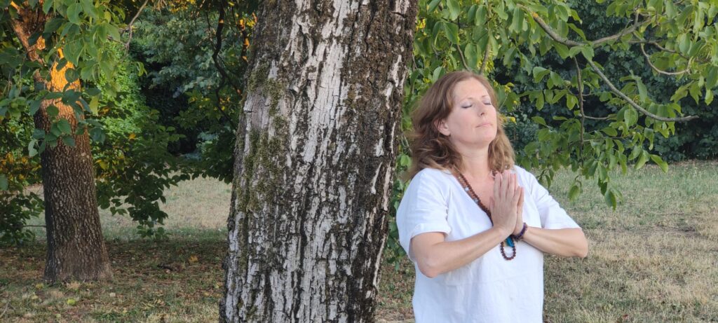 Open Meditazioni collettive FOTO per riquadro meditazione 1024x461 - Open Meditazioni collettive